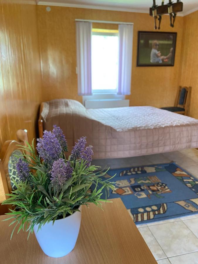 Hotel Constancia Kamieniec Podolski Zewnętrze zdjęcie