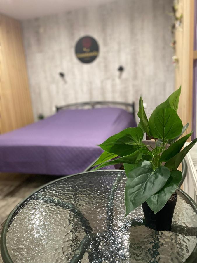 Hotel Constancia Kamieniec Podolski Zewnętrze zdjęcie